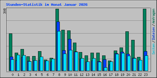 Stunden-Statistik im Monat Januar 2026
