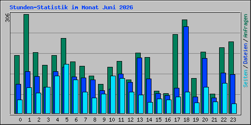 Stunden-Statistik im Monat Juni 2026