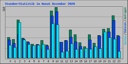 Stunden-Statistik im Monat Dezember 2020