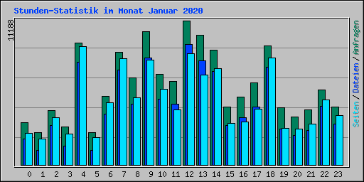 Stunden-Statistik im Monat Januar 2020