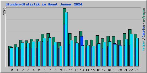 Stunden-Statistik im Monat Januar 2024