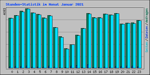 Stunden-Statistik im Monat Januar 2021