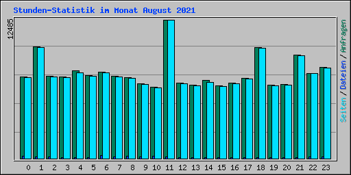 Stunden-Statistik im Monat August 2021