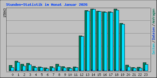 Stunden-Statistik im Monat Januar 2026