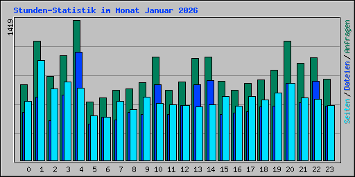 Stunden-Statistik im Monat Januar 2026